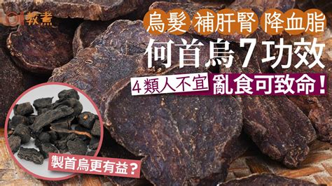 何首烏禁忌|何首烏功效｜黑髮補肝腎7好處製首烏更有益？4類人不 